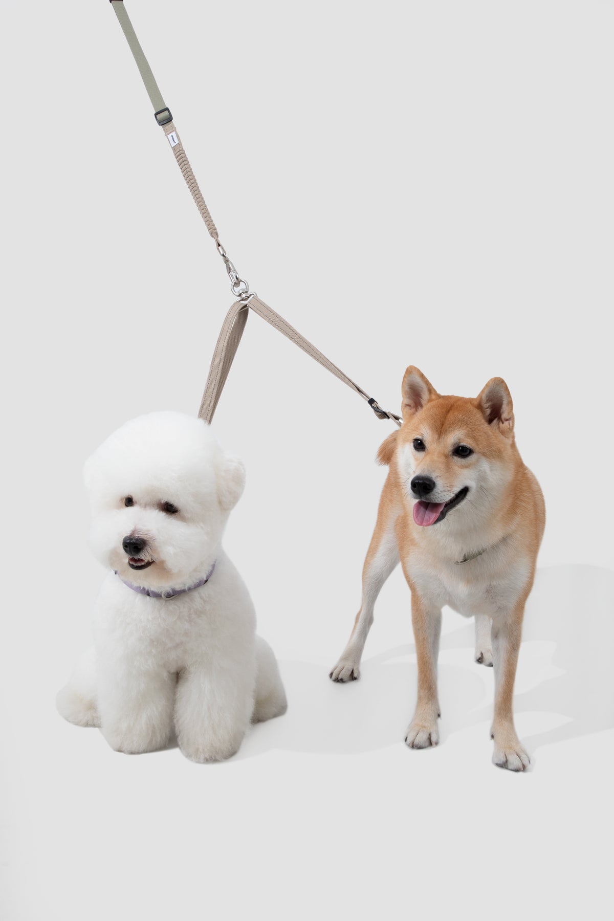 TrailFlex Shock-Absorbing Dog Leash – Hands-Free Bungee & Multi-Way Walking Leash