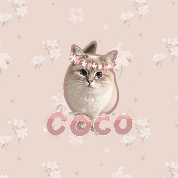 Artist-designed pet bag template