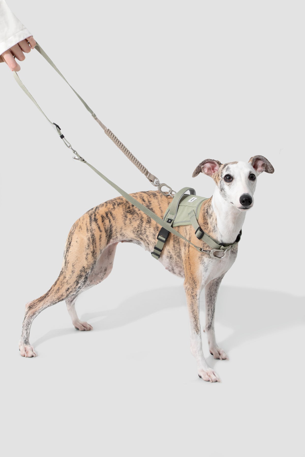 TrailFlex Shock-Absorbing Dog Leash – Hands-Free Bungee & Multi-Way Walking Leash