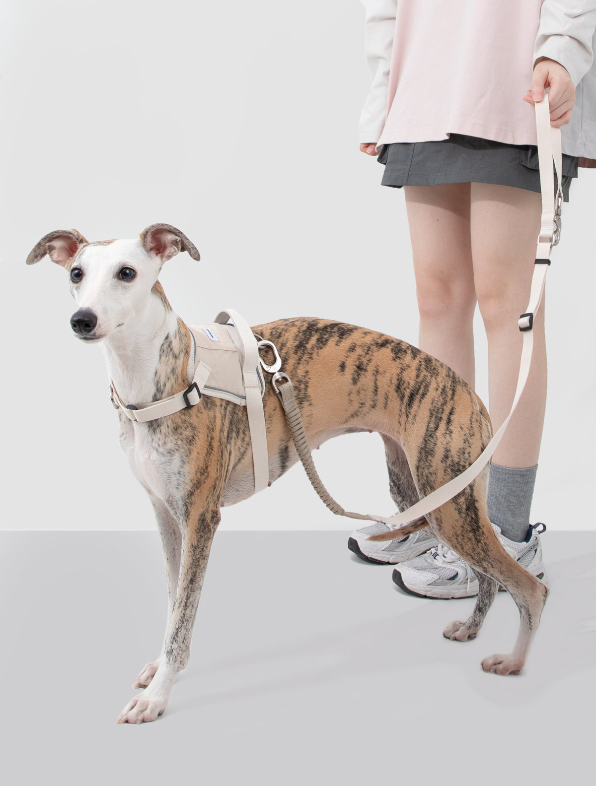 TrailFlex Shock-Absorbing Dog Leash – Hands-Free Bungee & Multi-Way Walking Leash