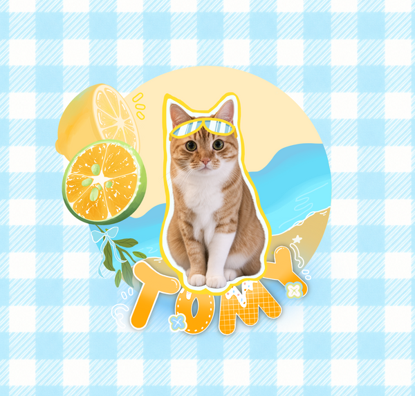 Artist-designed pet bag template