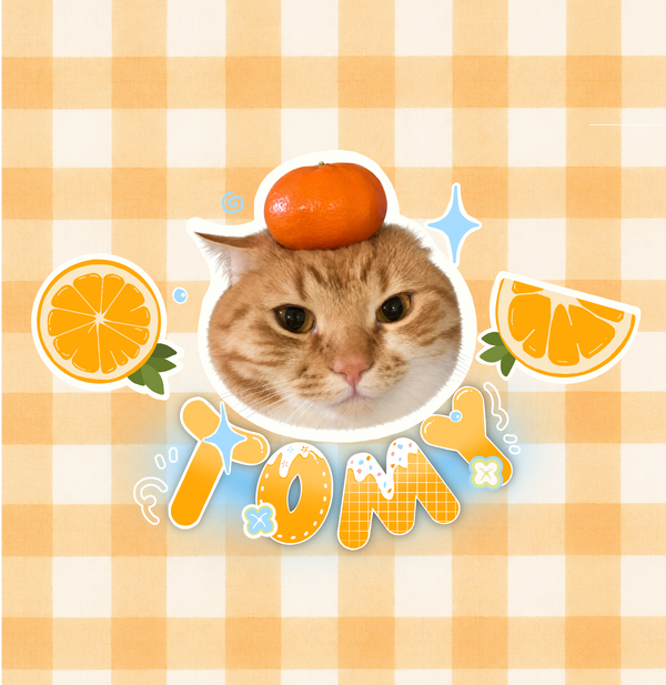 Artist-designed pet bag template