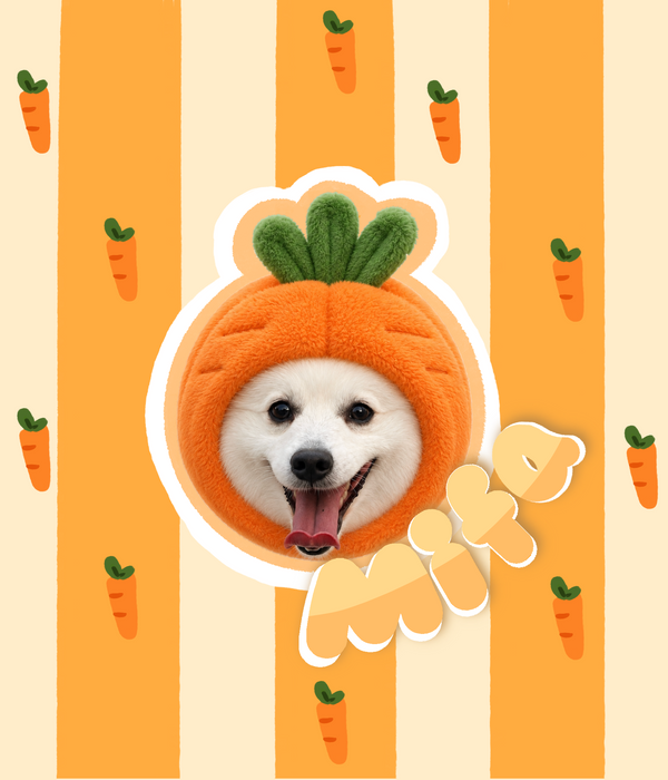 Artist-designed pet bag template