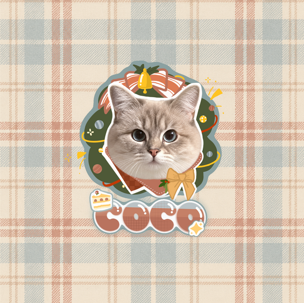 Artist-designed pet bag template