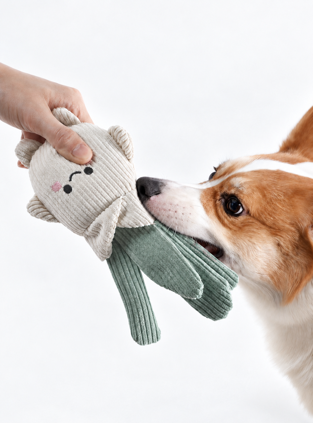 Garden Crunch Duo Interactive Squeaky Dog Toys – Crinkle Vegetable Plush Set