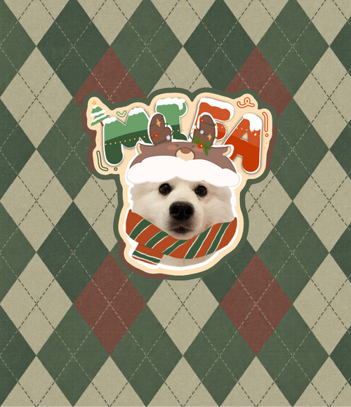 Artist-designed pet bag style