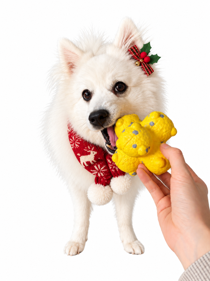 BounceBurst Irregular Bounce Dog Ball – Interactive Training & Enrichment Toy